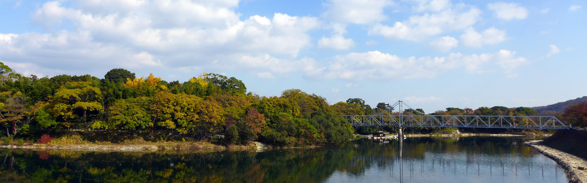 アクセス背景